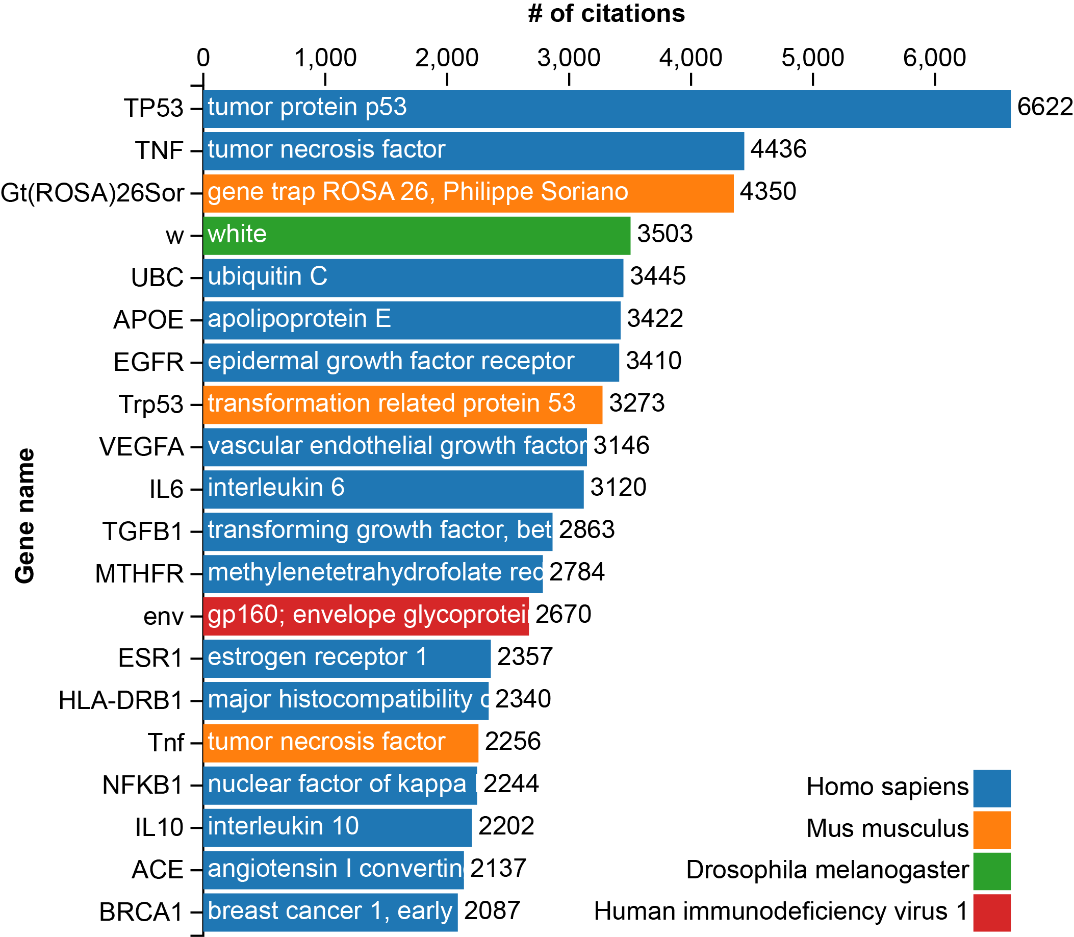 20 Most Cited Genes